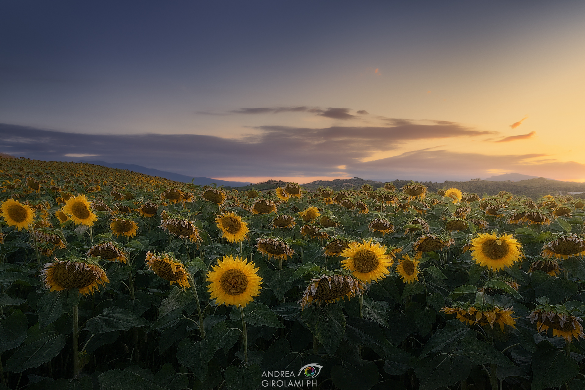 Gli ultimi raggi di sole prima di addormentarsi...