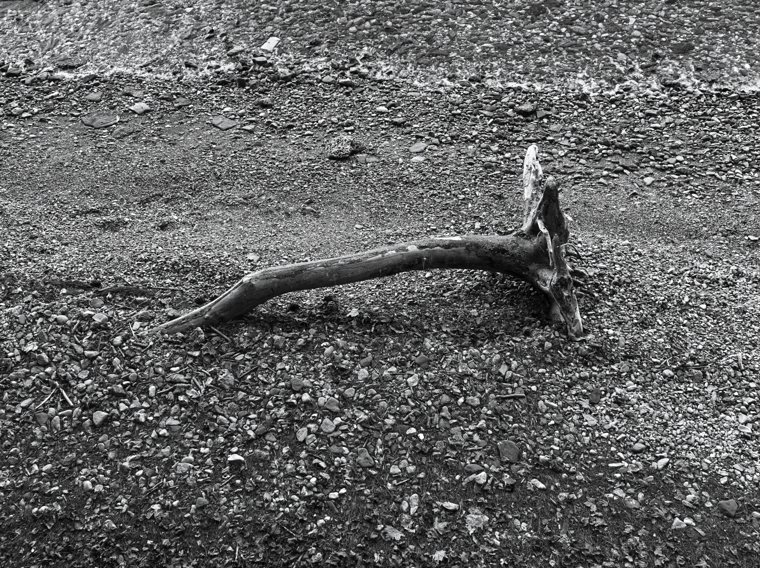 Sulla spiaggia