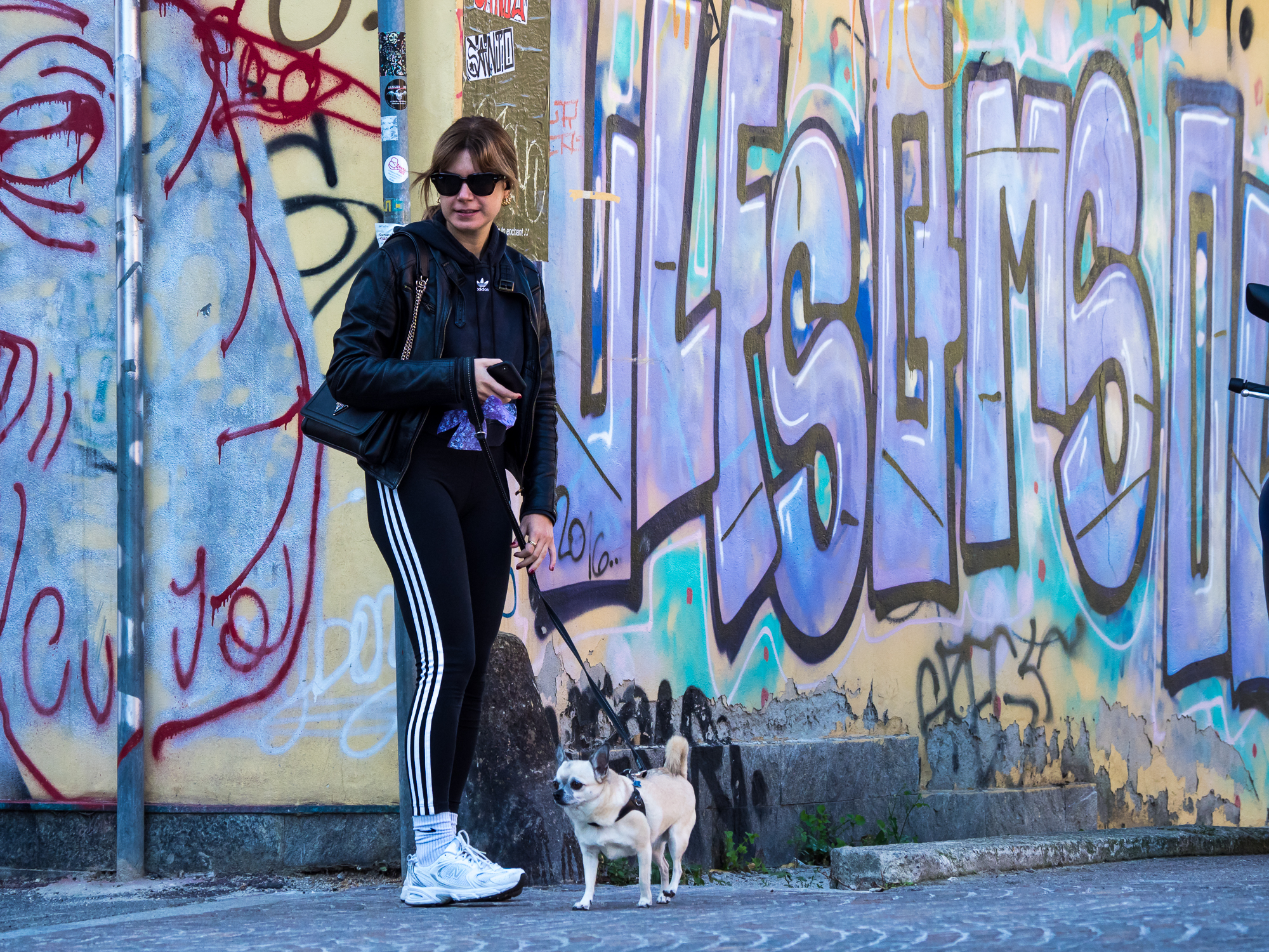a spasso con Daisy