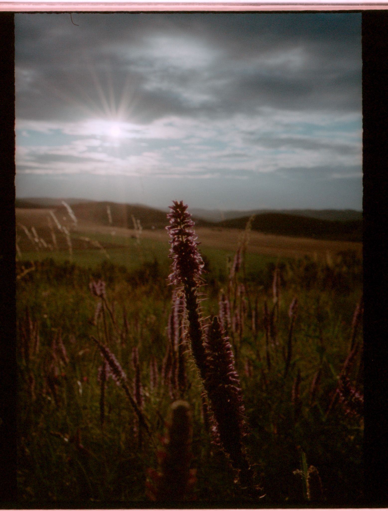 Pentax 17 + Porta 400