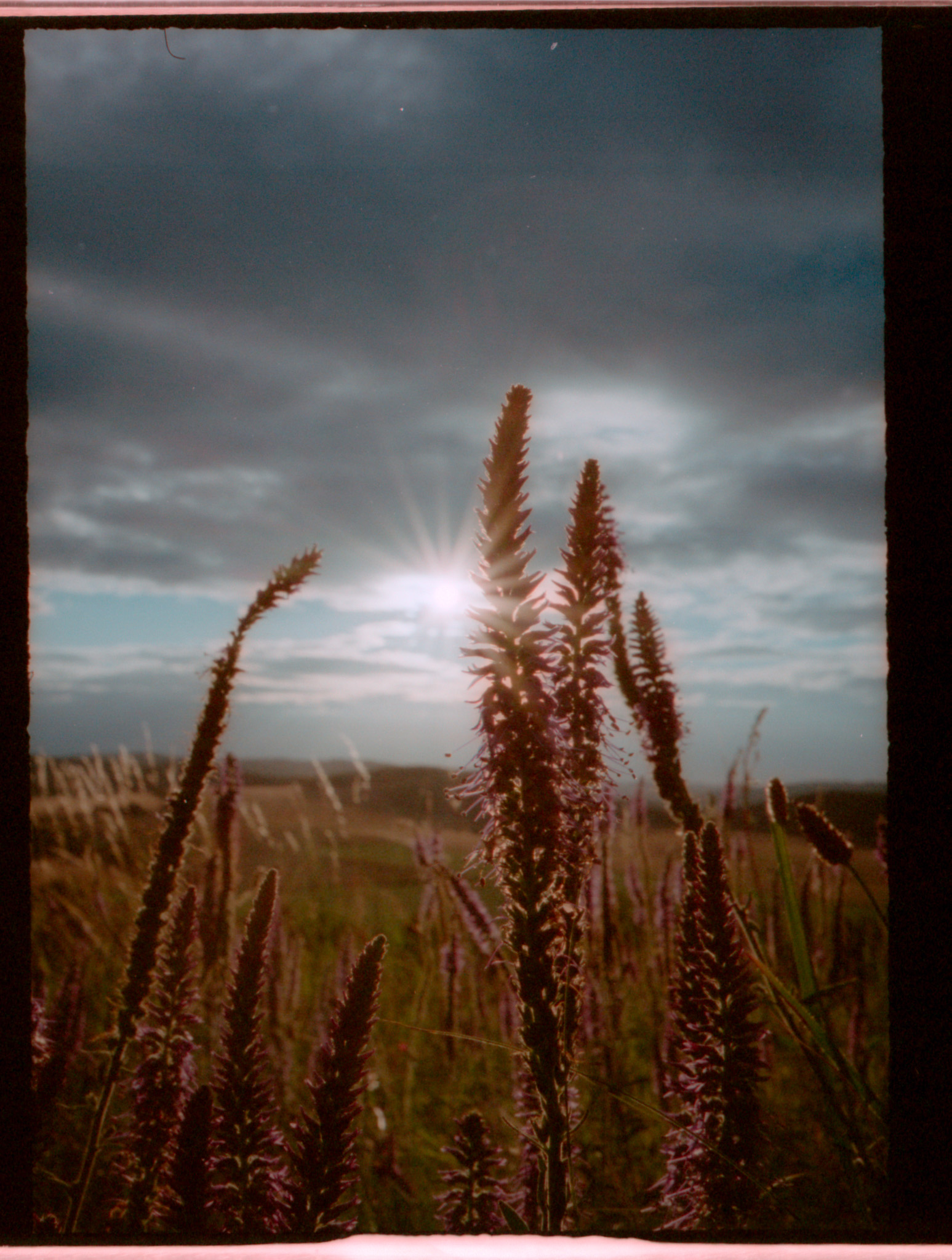 Pentax 17 + Porta 400