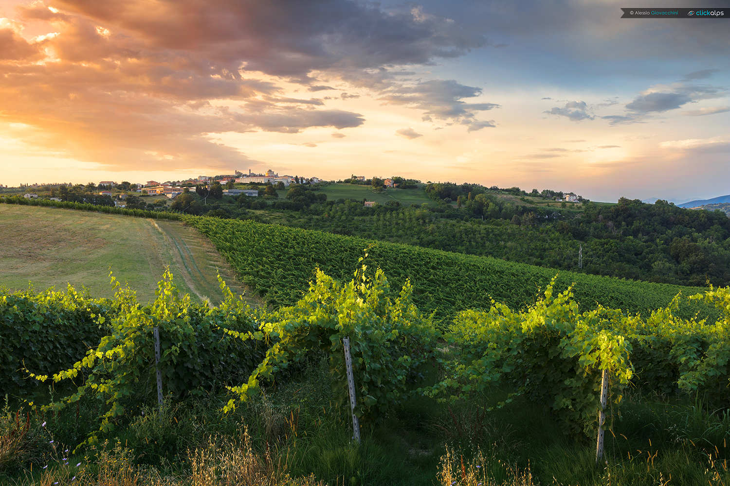 Sunrise over the hills of the Marche region