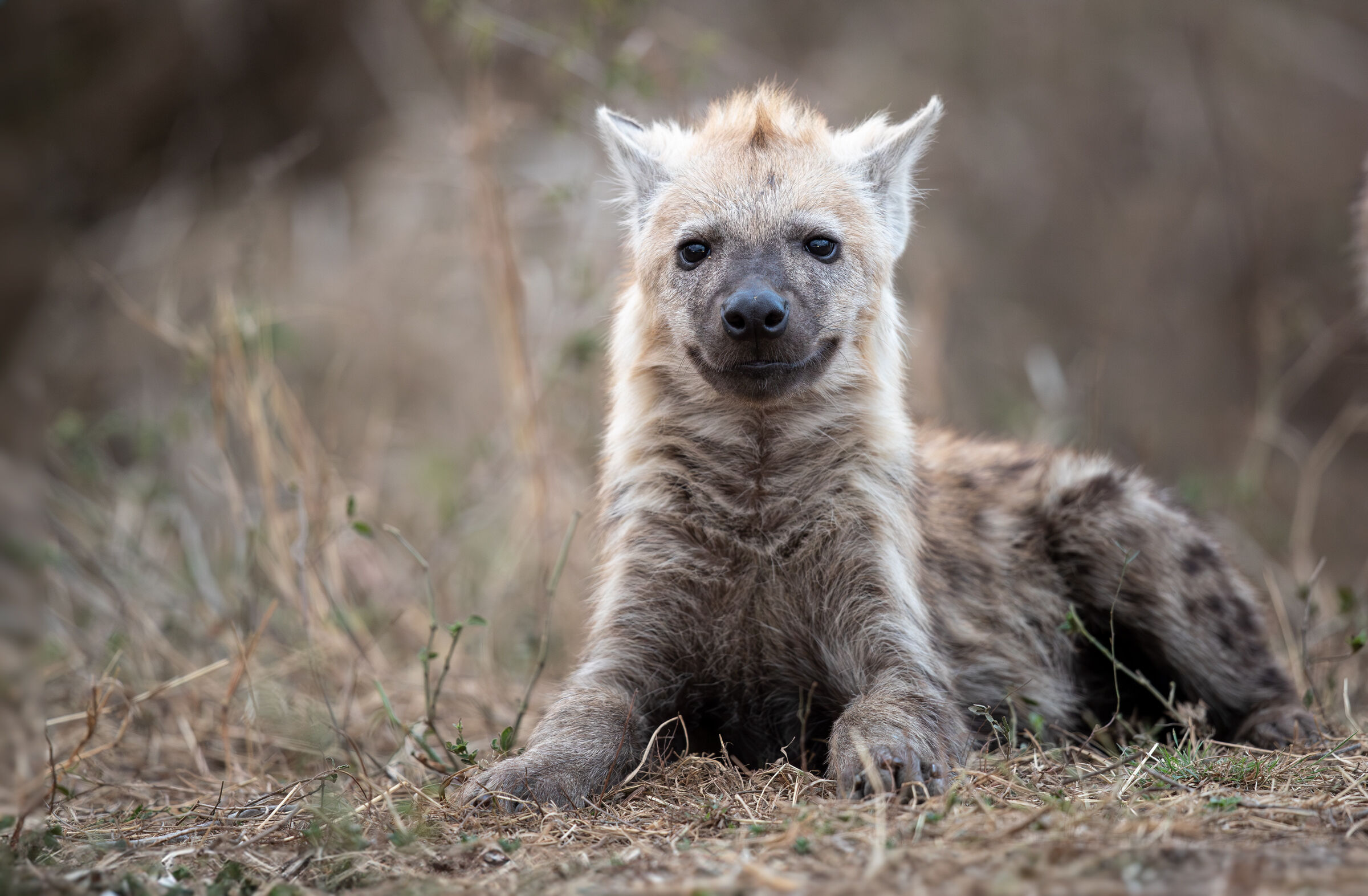 Incontri in una calda serata africana...