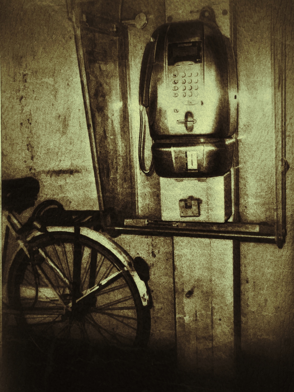 Untitled Photo