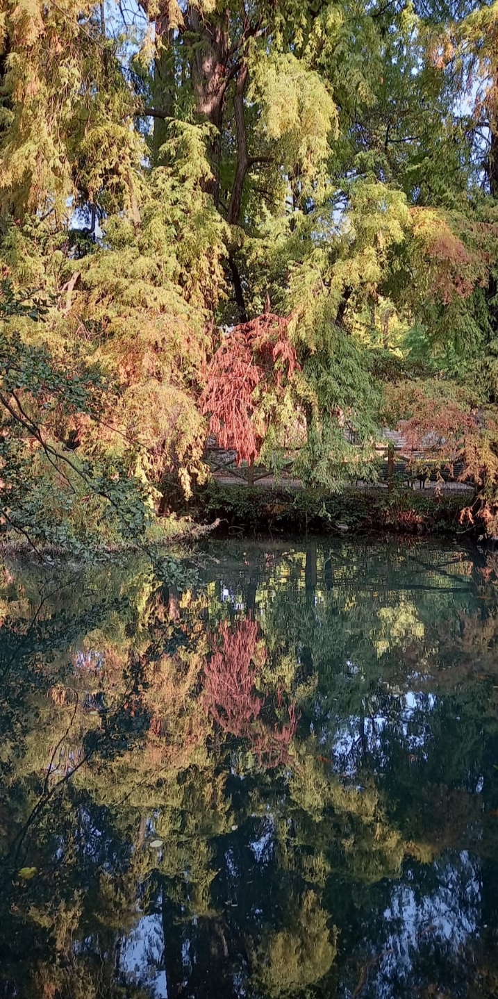 Altri colori autunnali