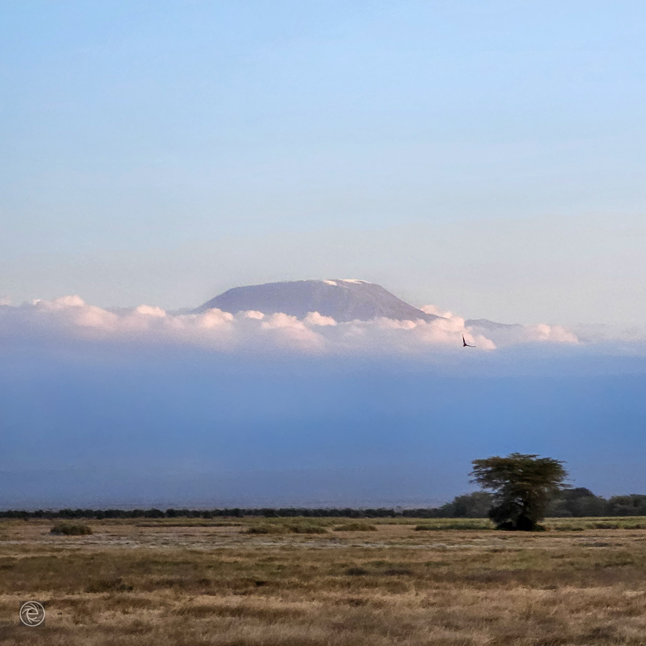 Kilimanjaro