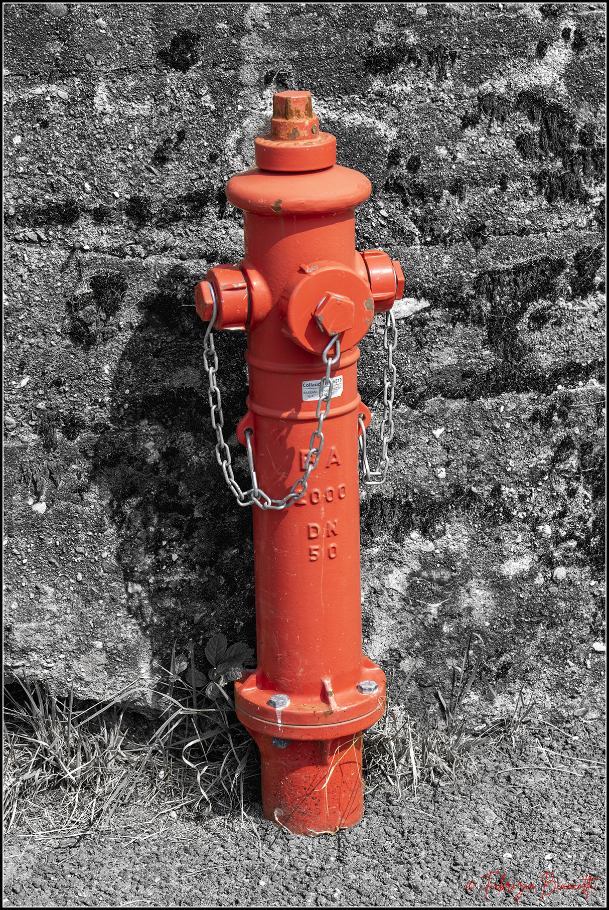 The fire hydrant