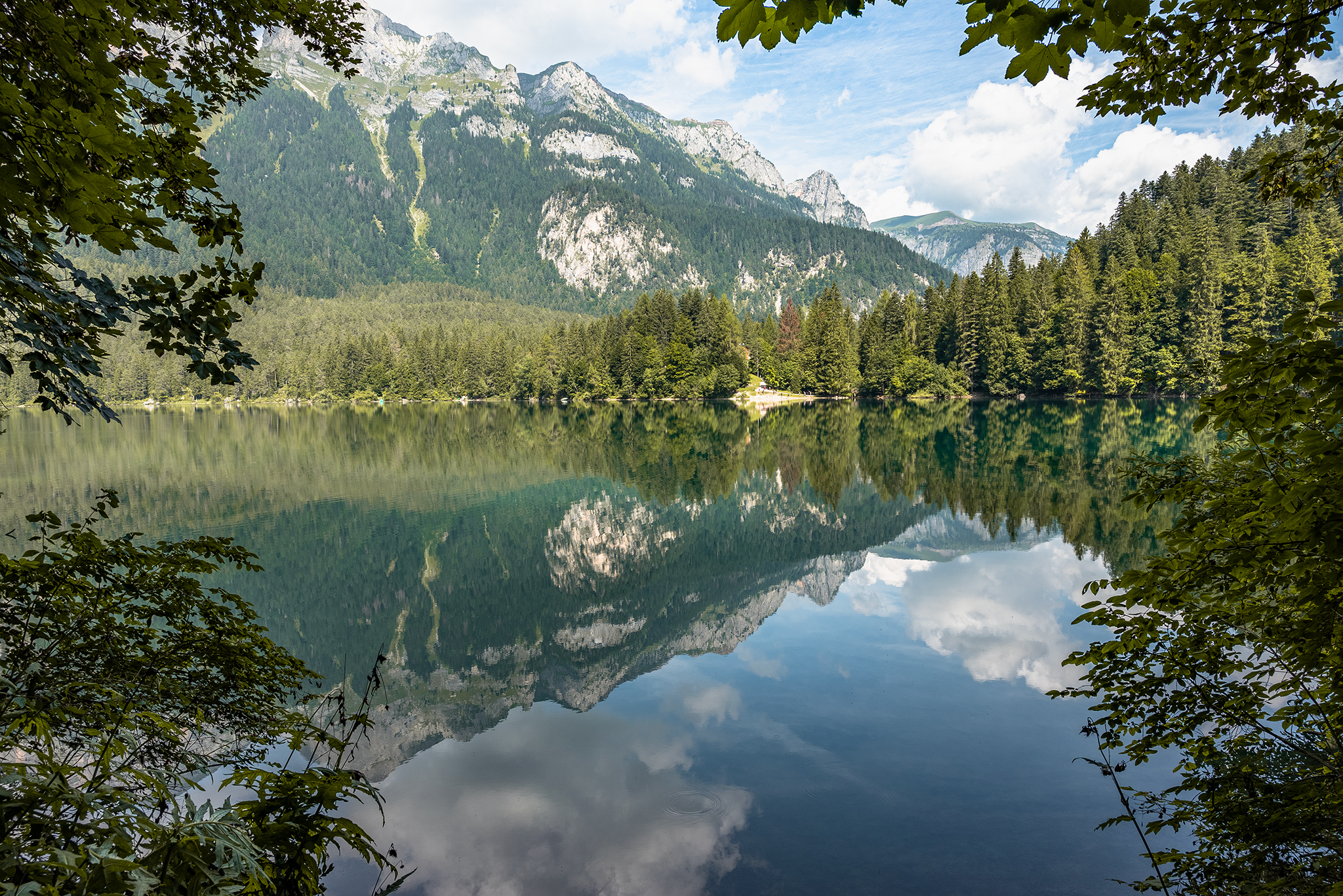 Reflections on the lake