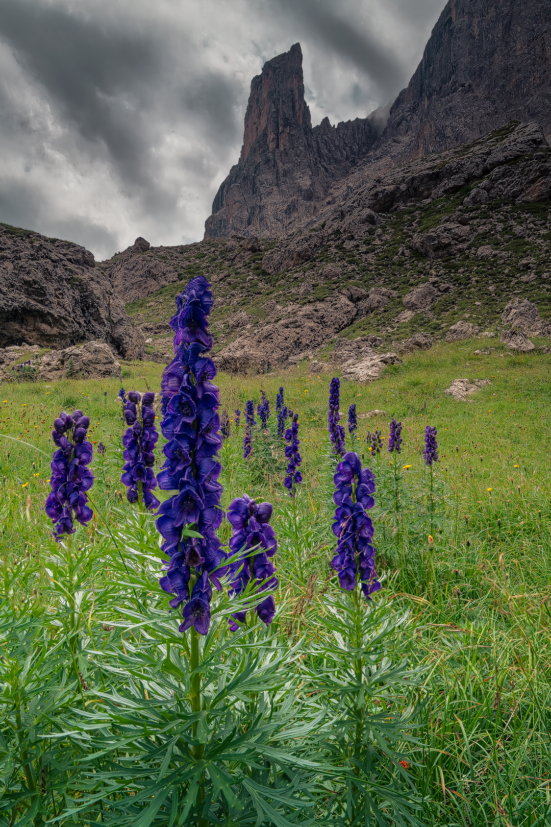 Aconite and Deadbolt