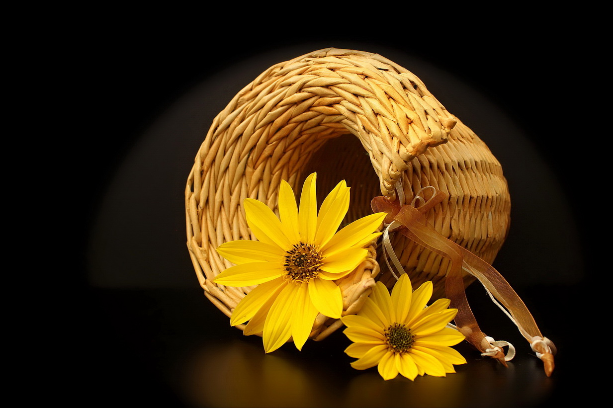 yellow flowers and vase