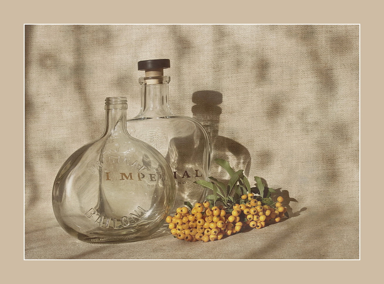 bottiglie per distillati