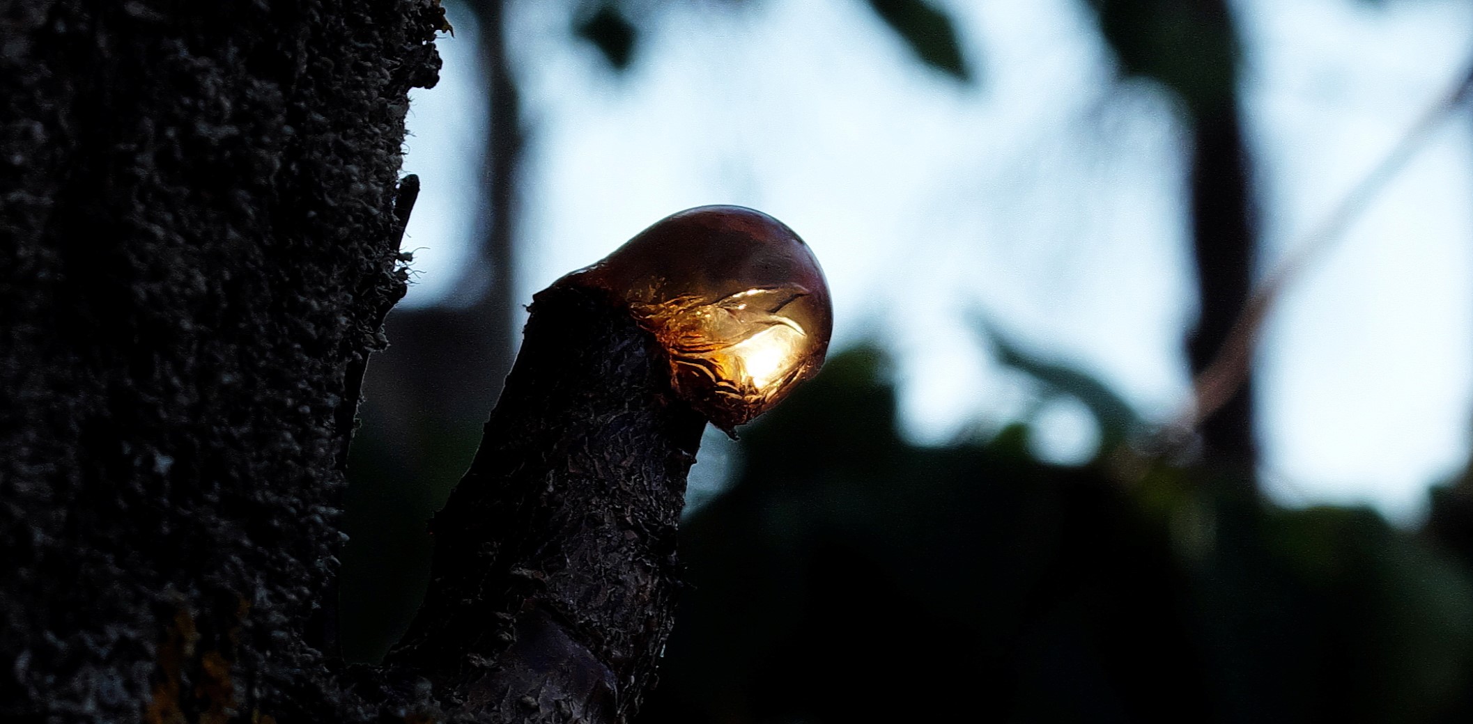Small lamp, no battery.