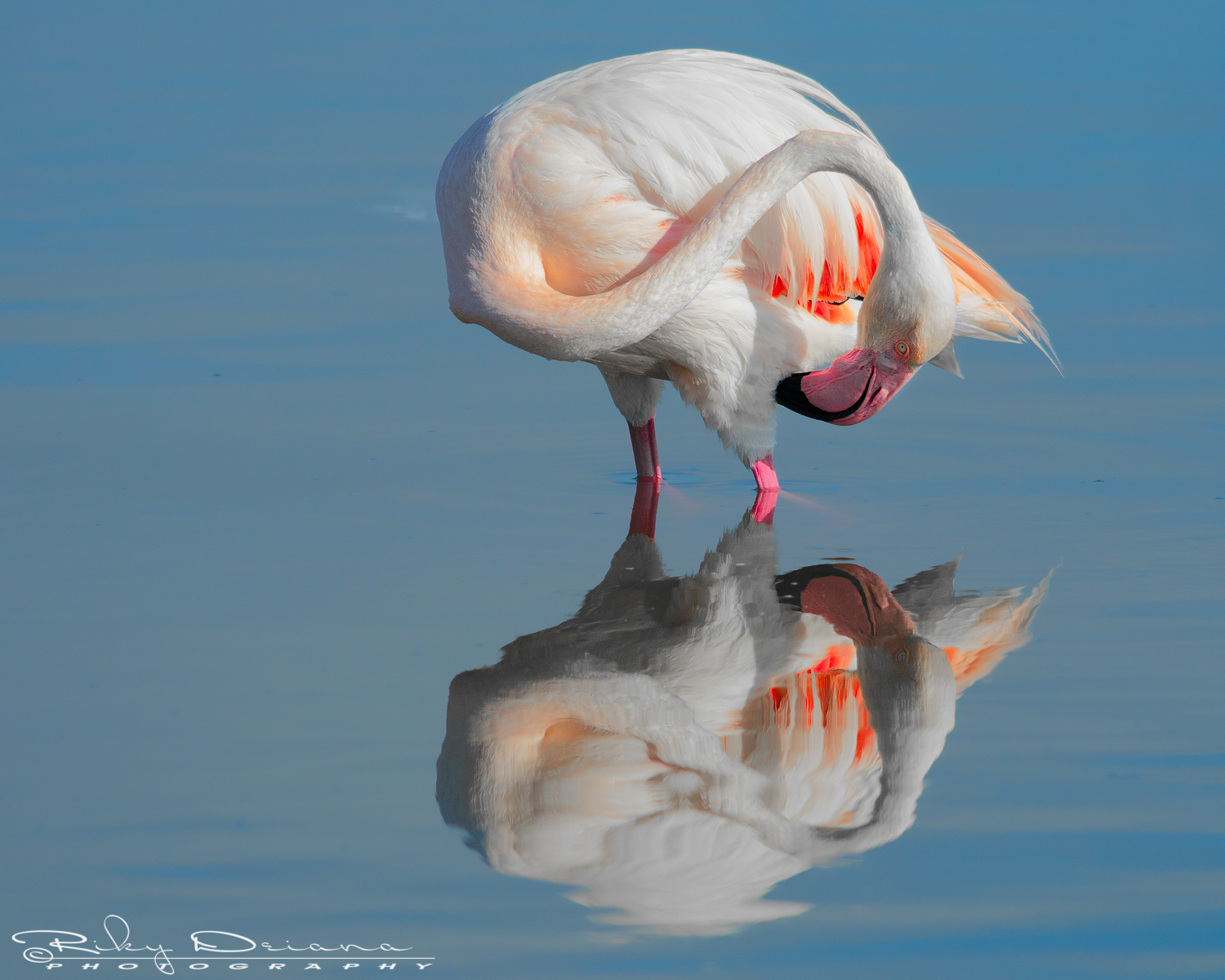 Mirror .. mirror on the wall ...