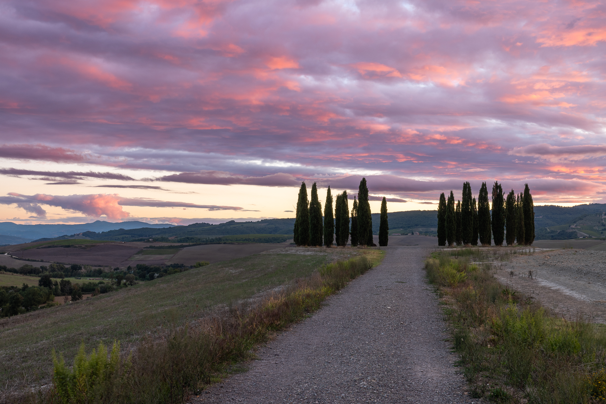 I cipressi di San Quirico