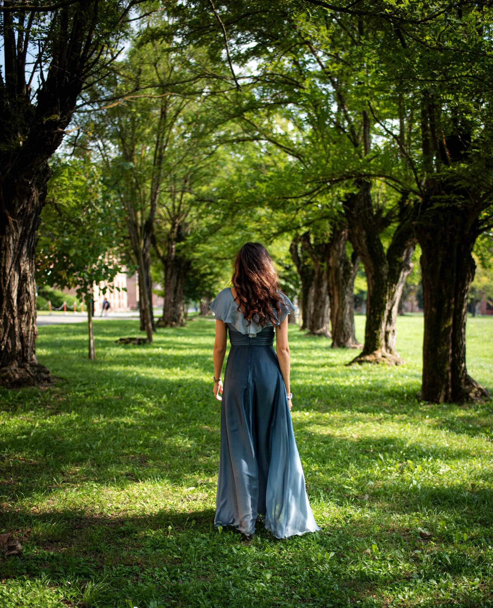 Vento tra gli alberi