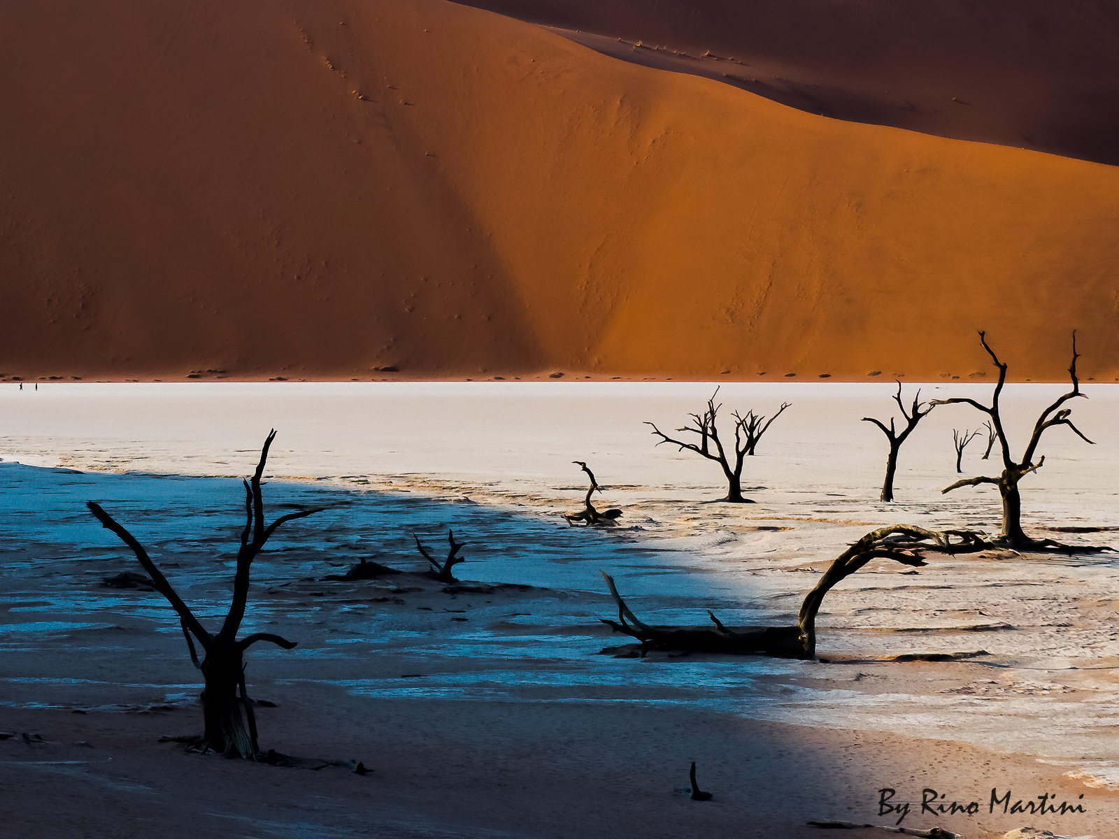 Dead Vlei: lights and shadows