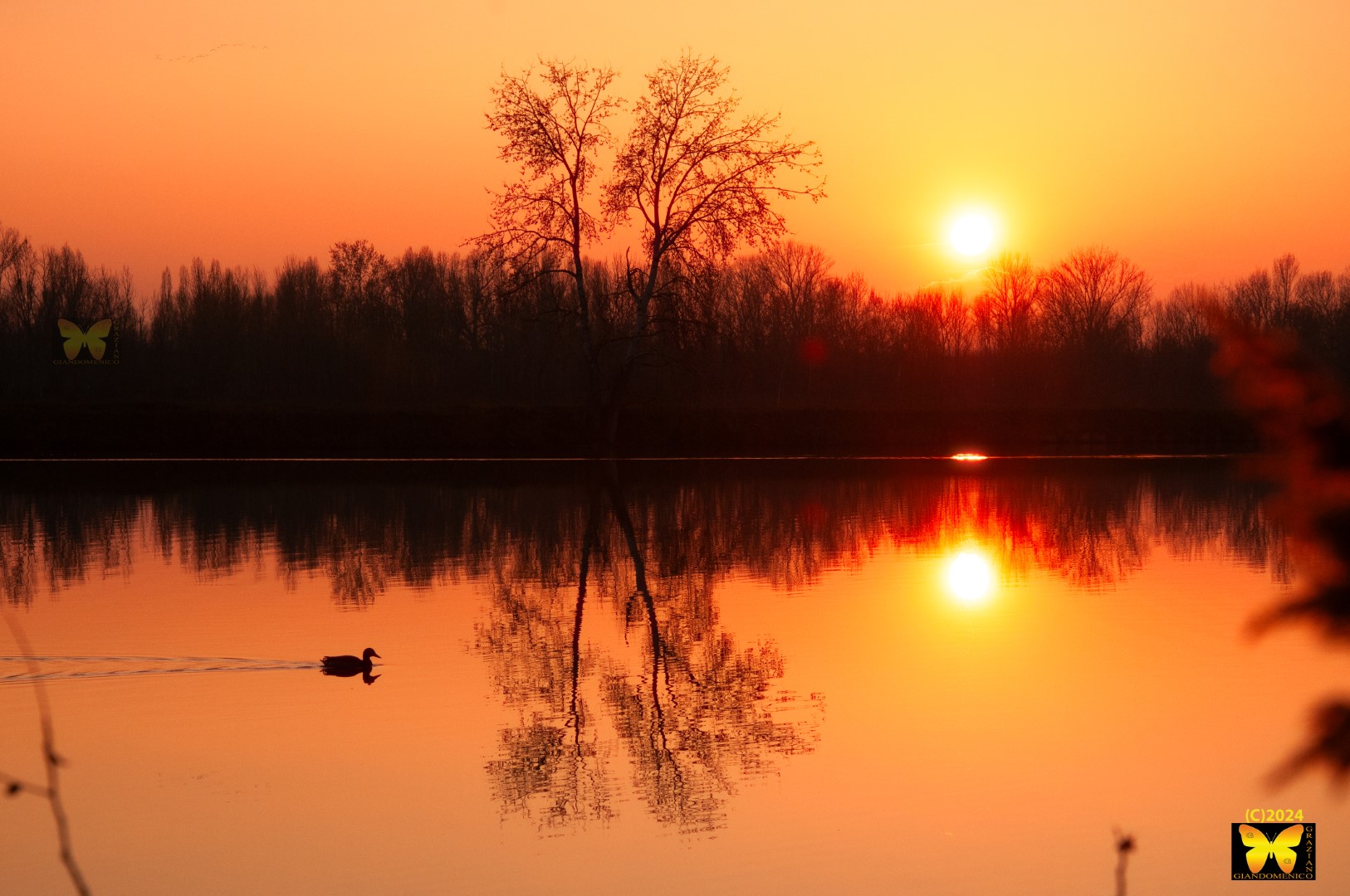 And do you think there is a need for a title?