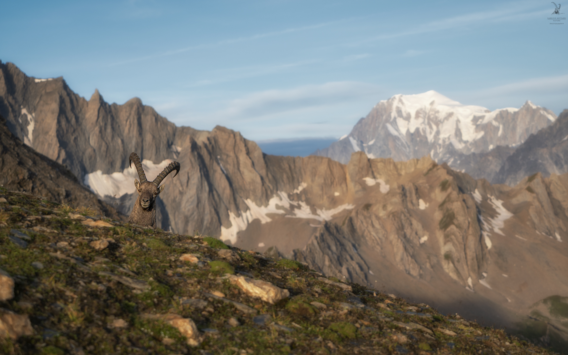 The two Kings of the Alps