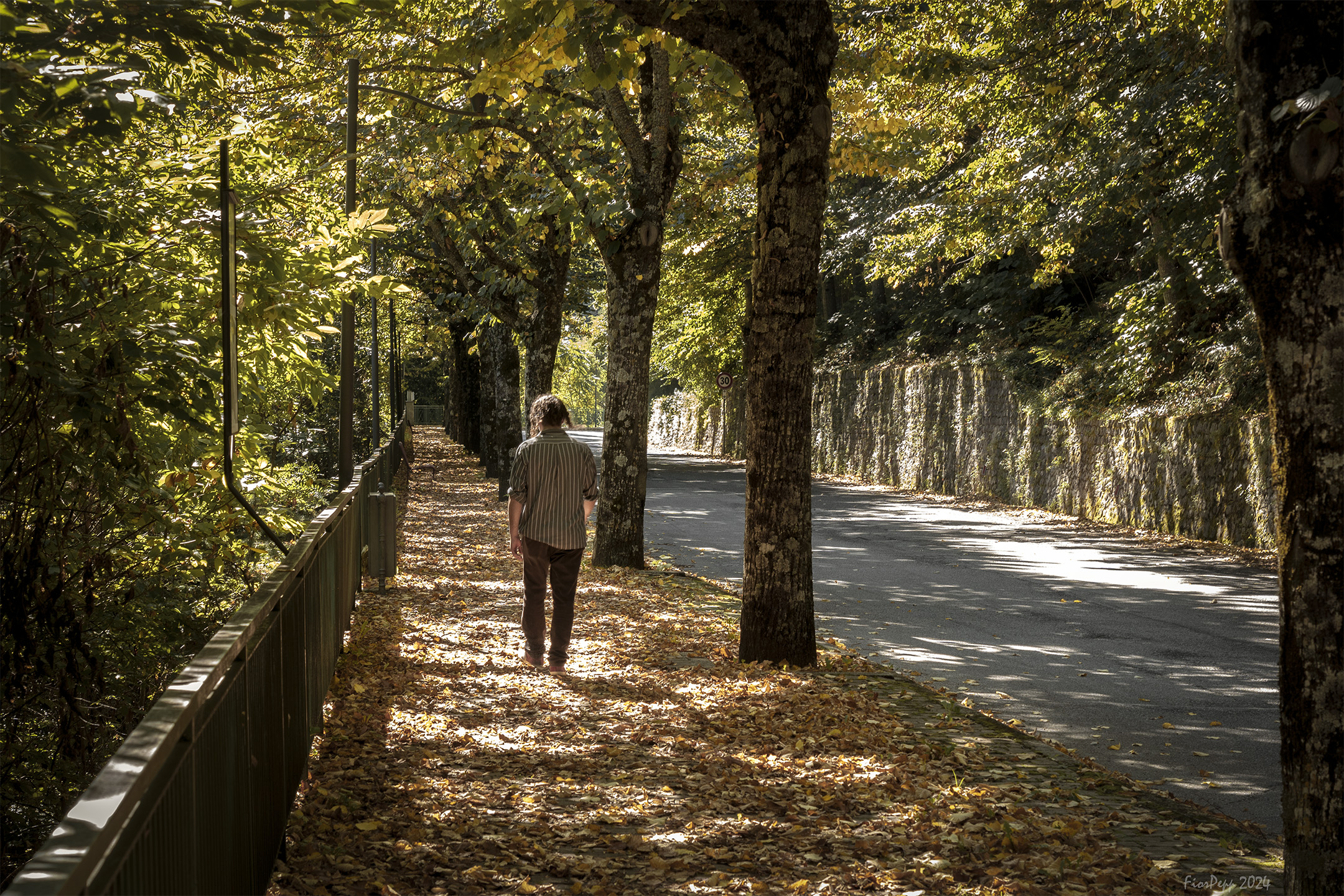 Camminata autunnale