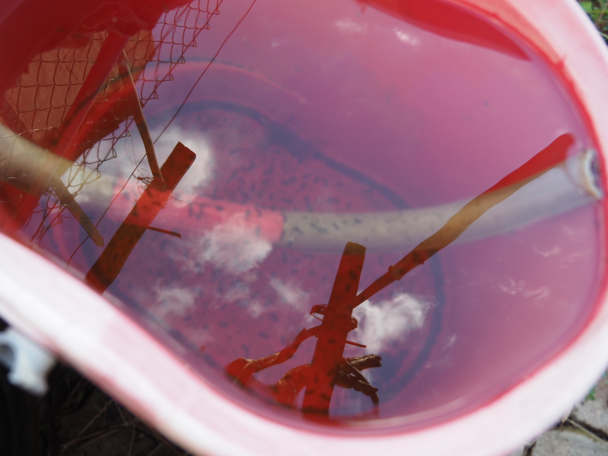 Above Inside and Out