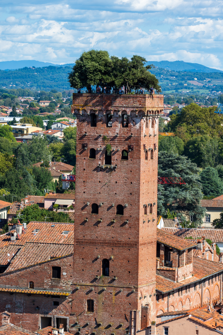 Guinigi Tower LUCCA