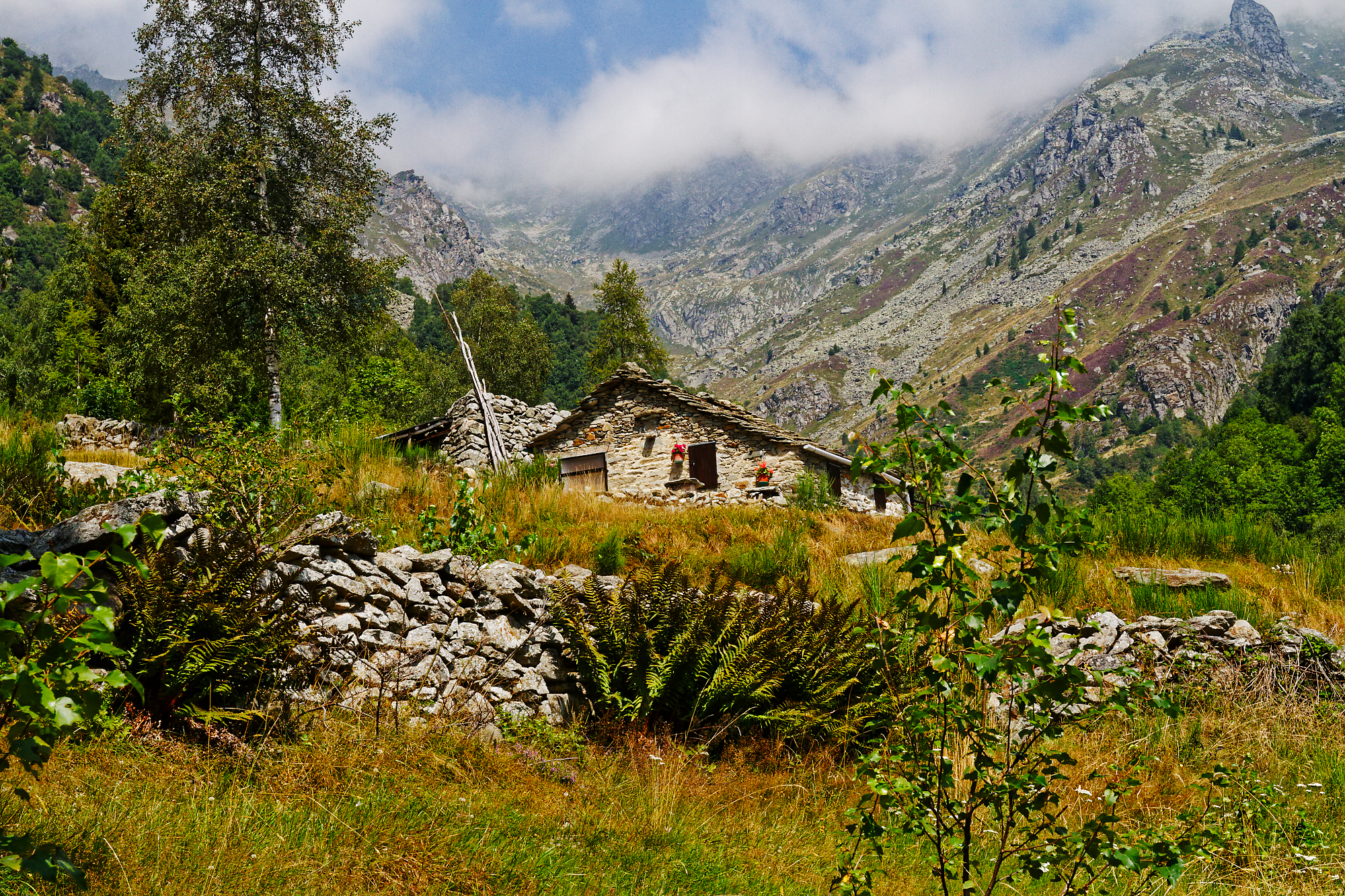 Tranquillità Test 7d-1