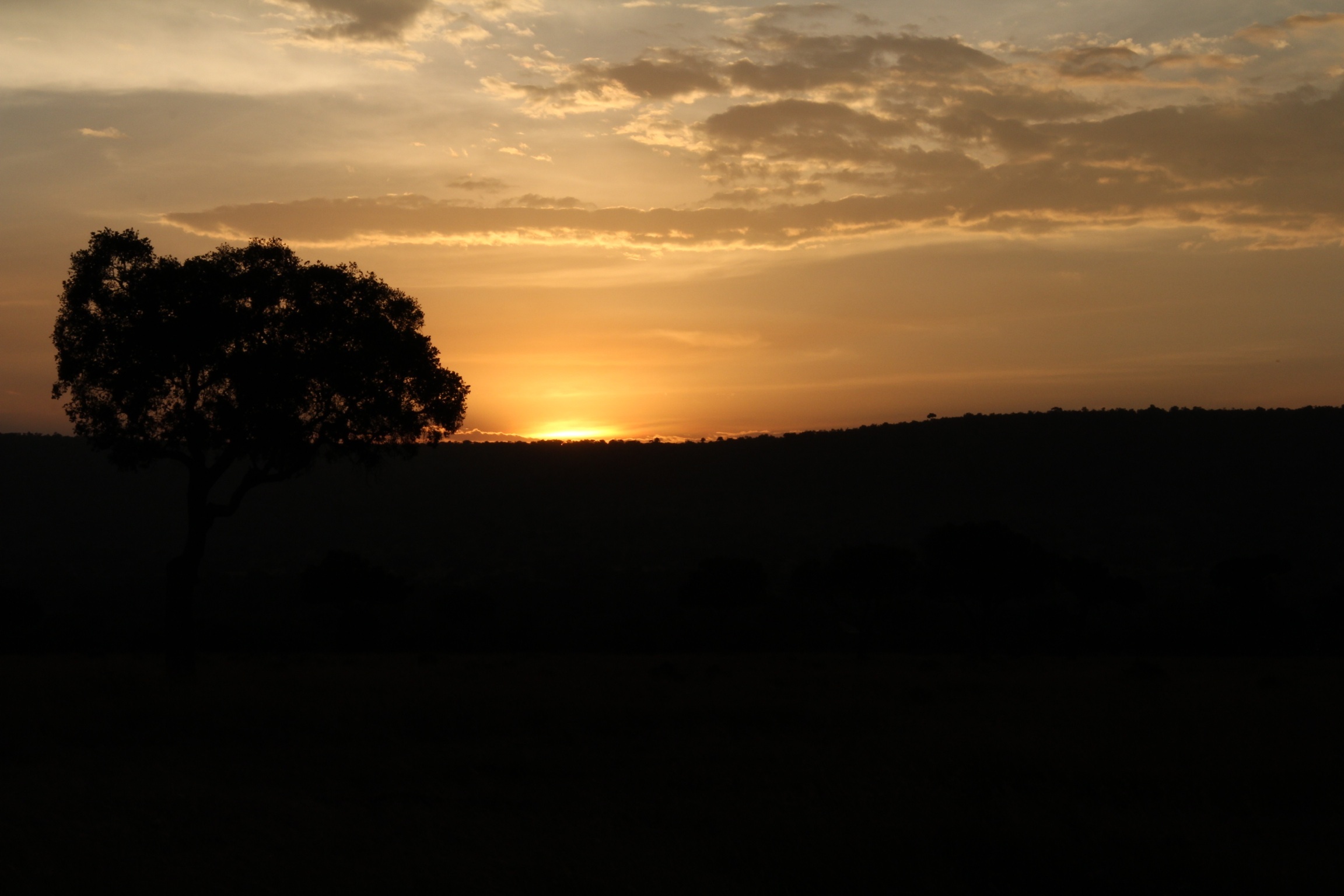Tramonto nella Savana