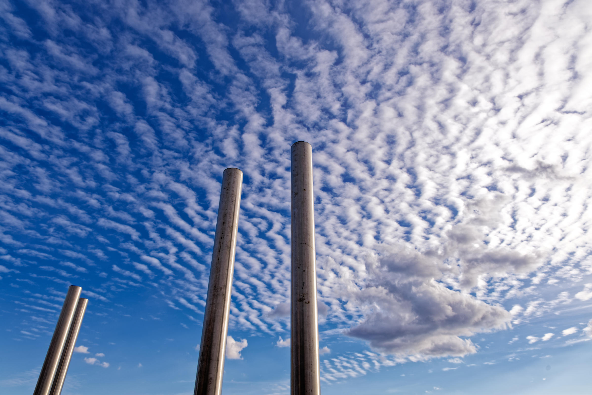 Parco Nord Milano, 2024