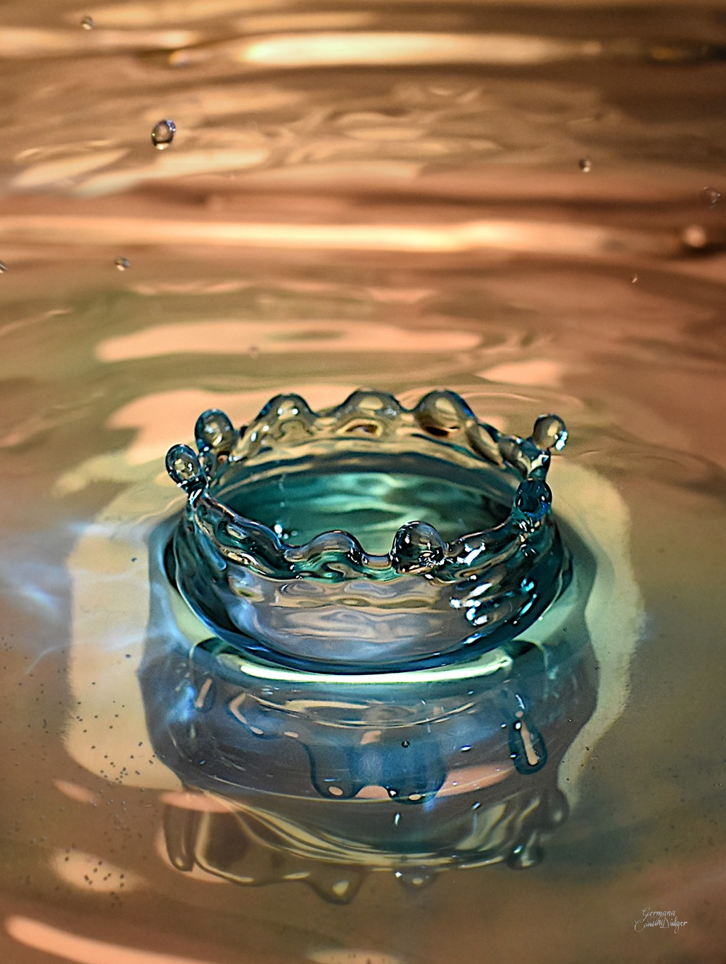 Coroncina d'acqua azzurra