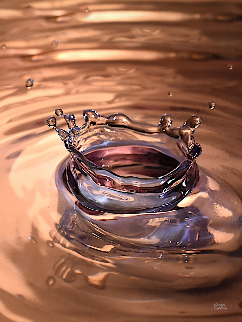 Coroncina d'acqua rosa