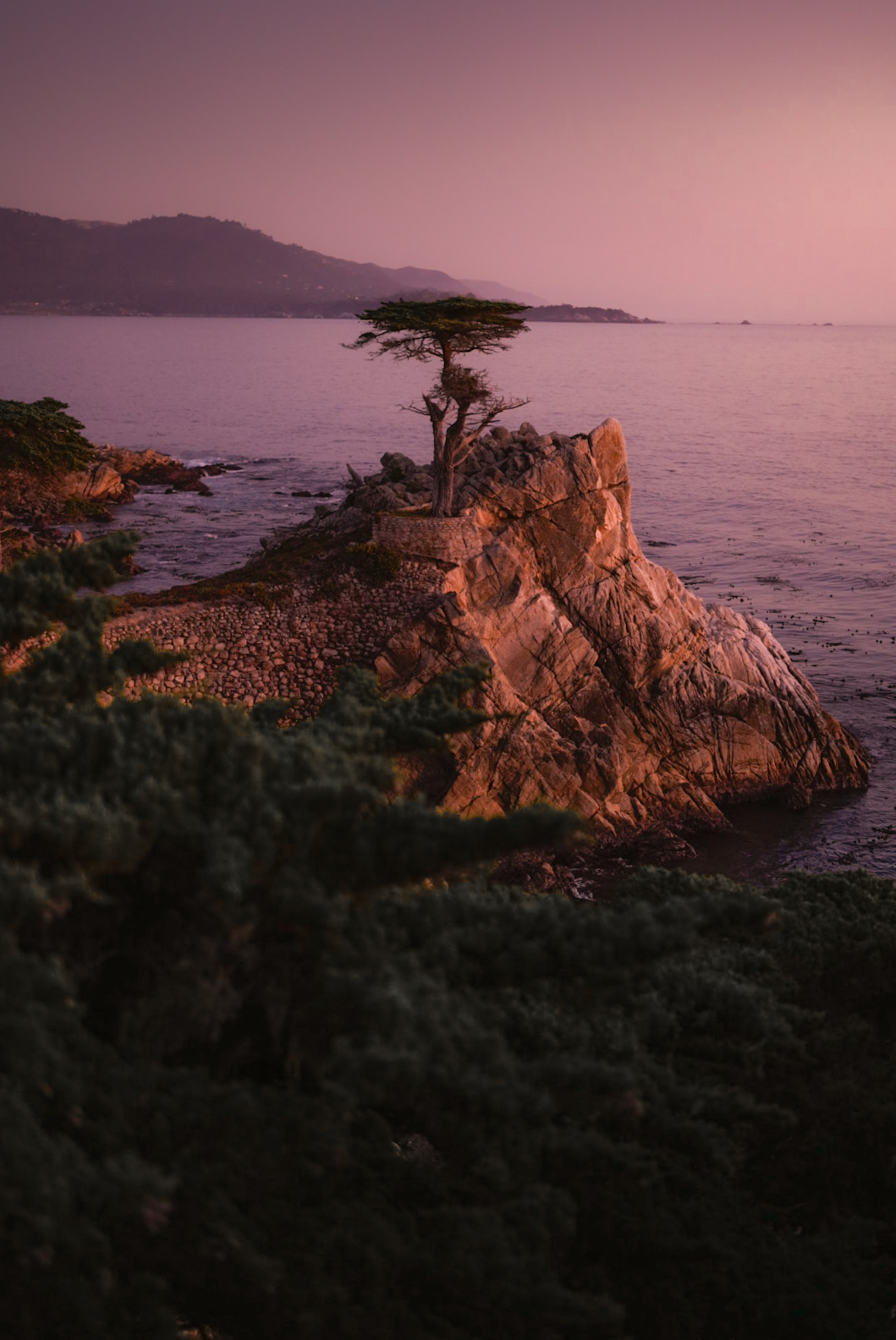 Lone cypress - California 2024