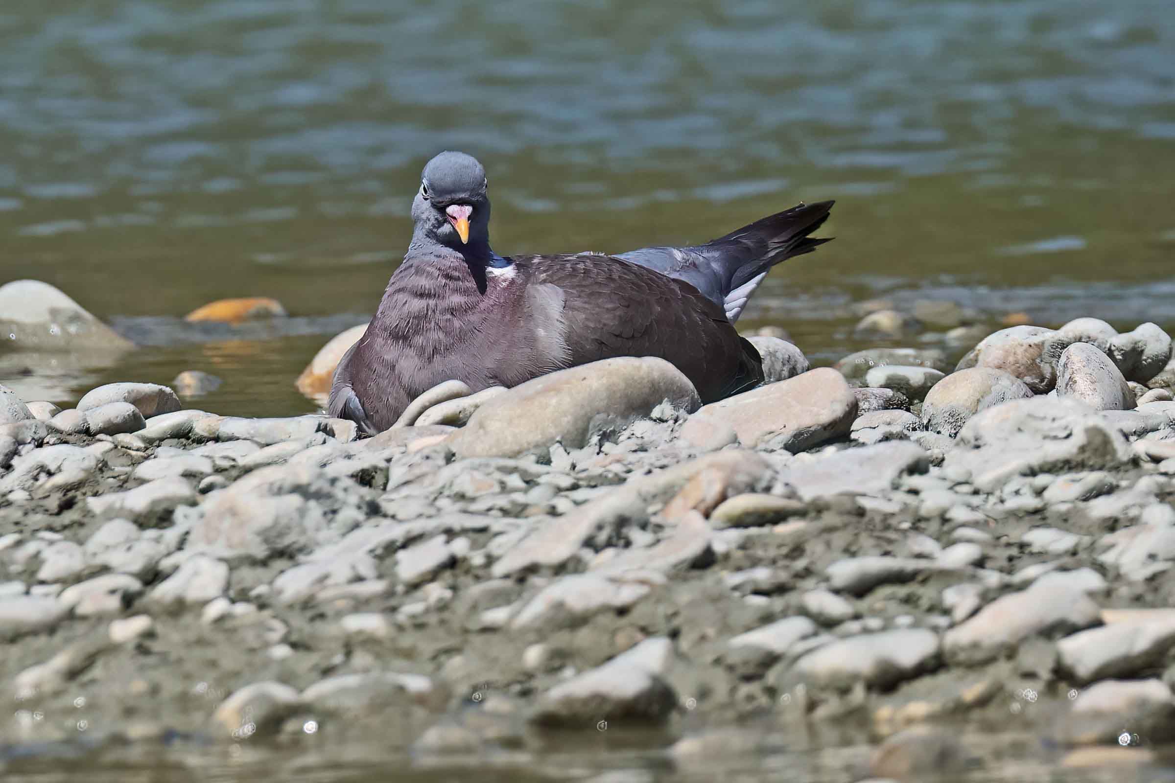 With your ass soaking!