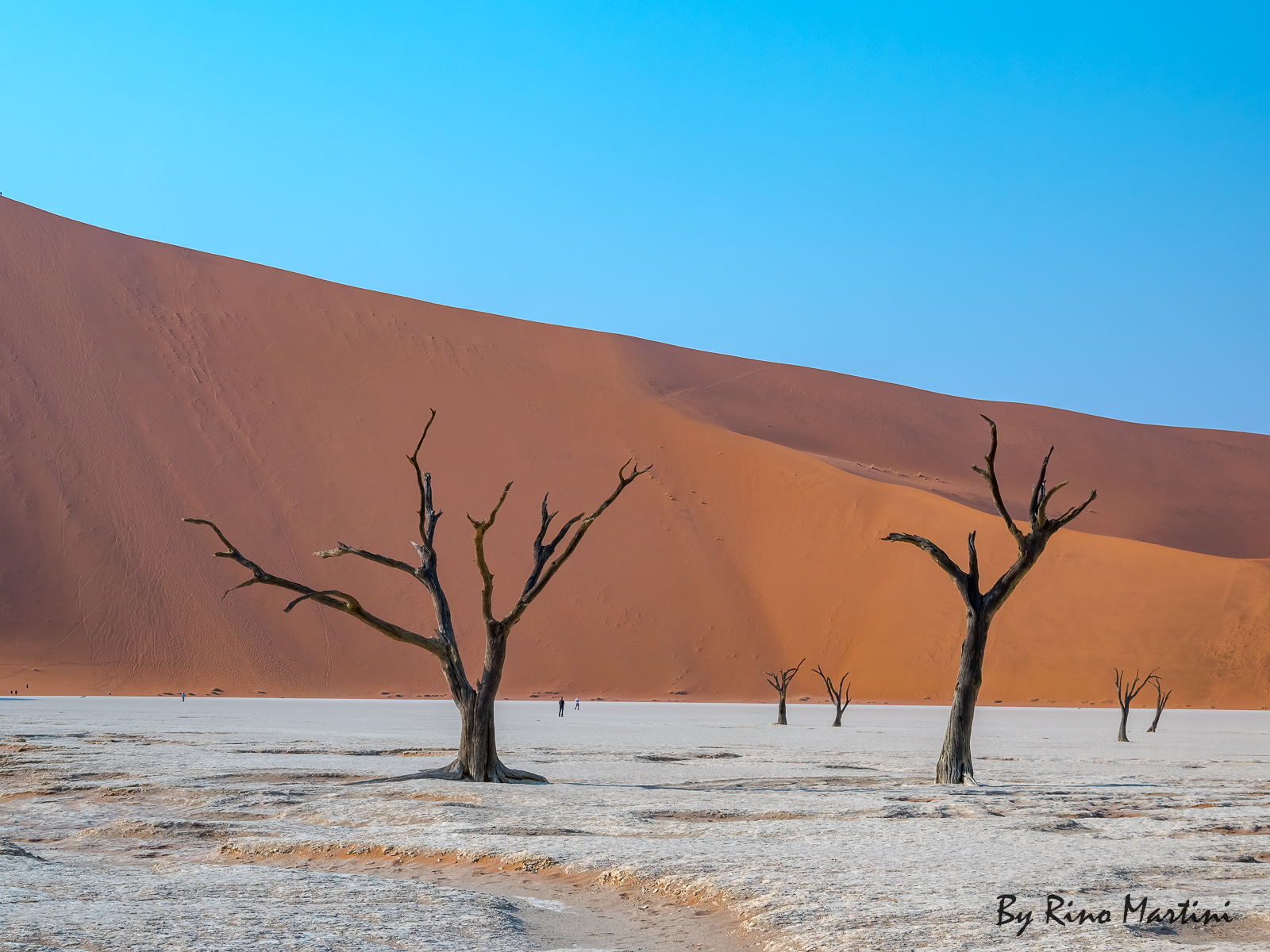 Dead Vlei : Tackles