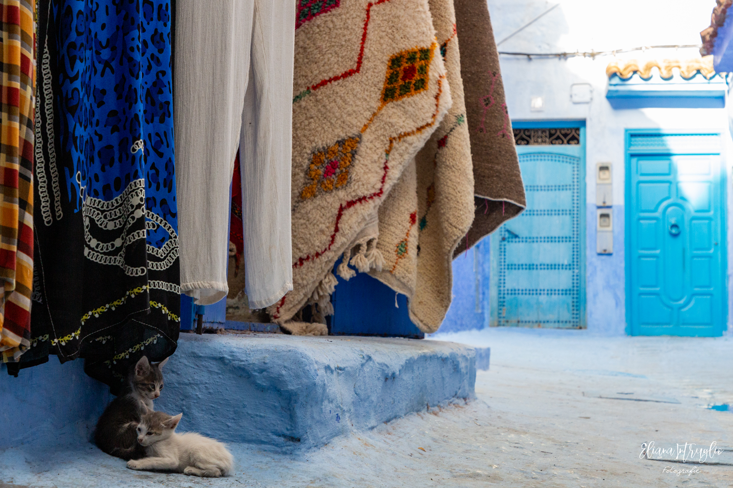 Micini in Chefchaouen