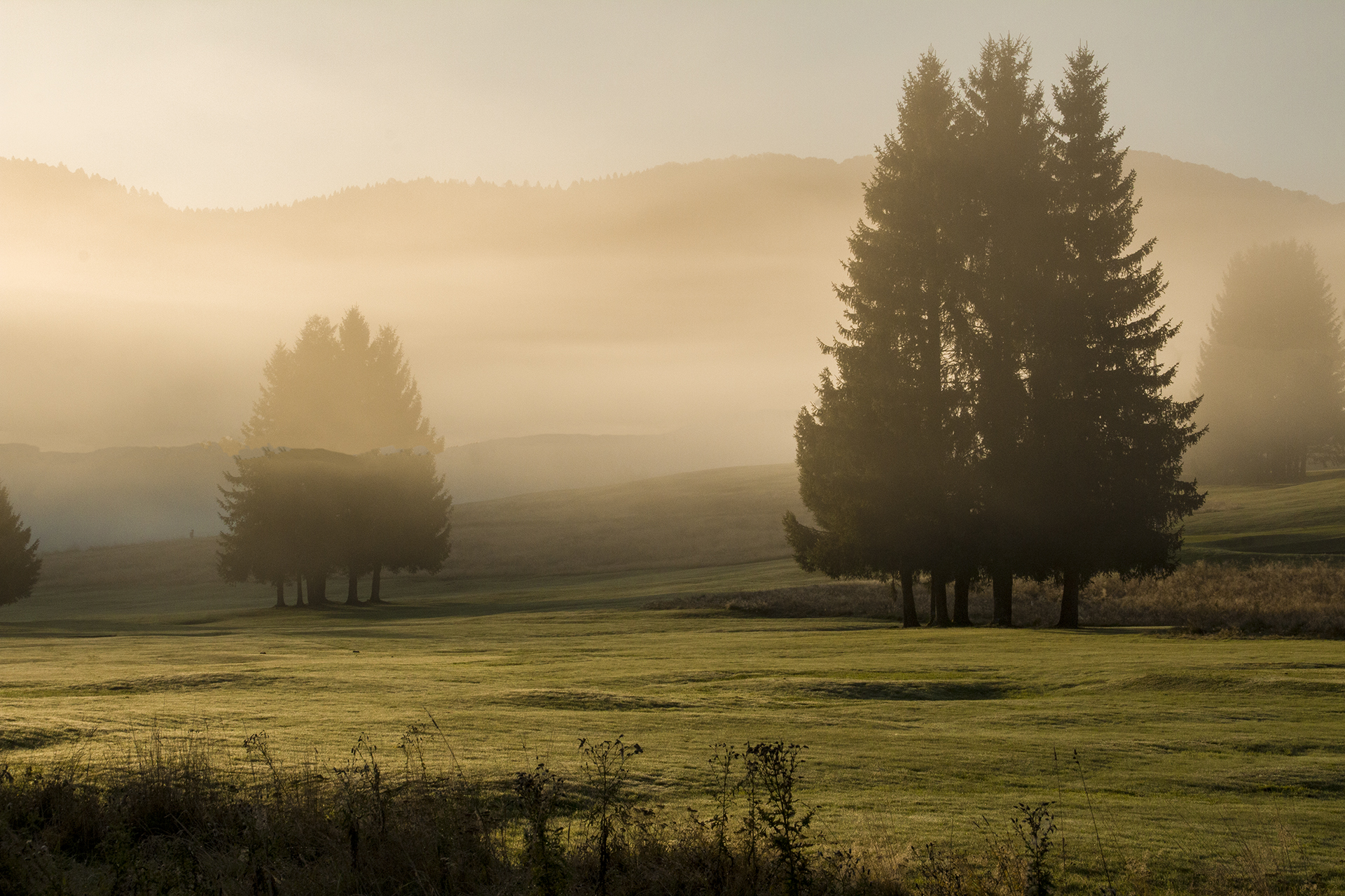 Autunno in Cansiglio