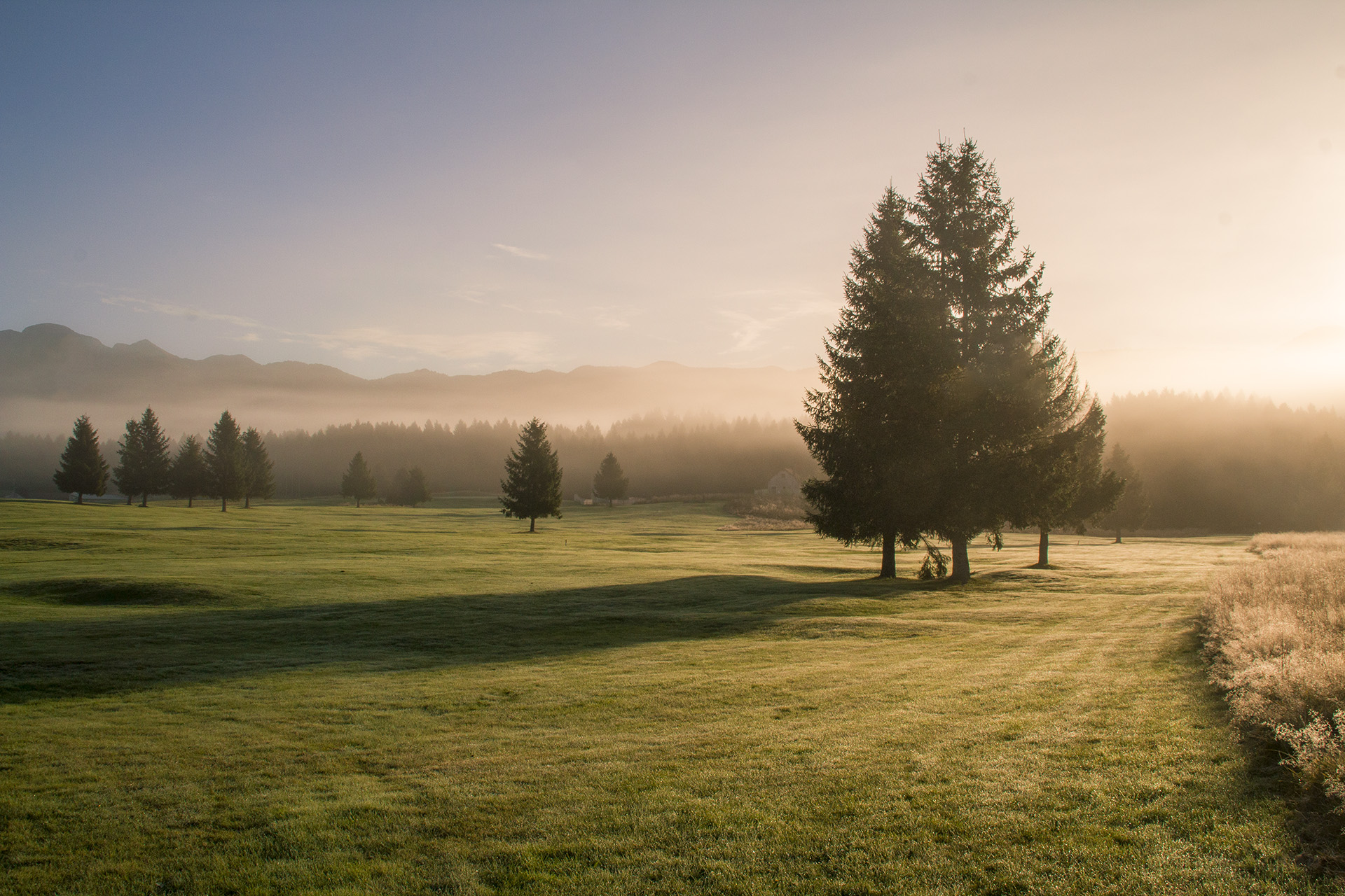 Autunno in Cansiglio