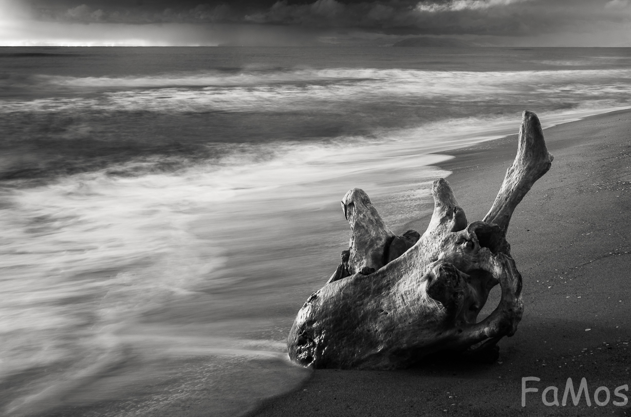 Everything is transformed