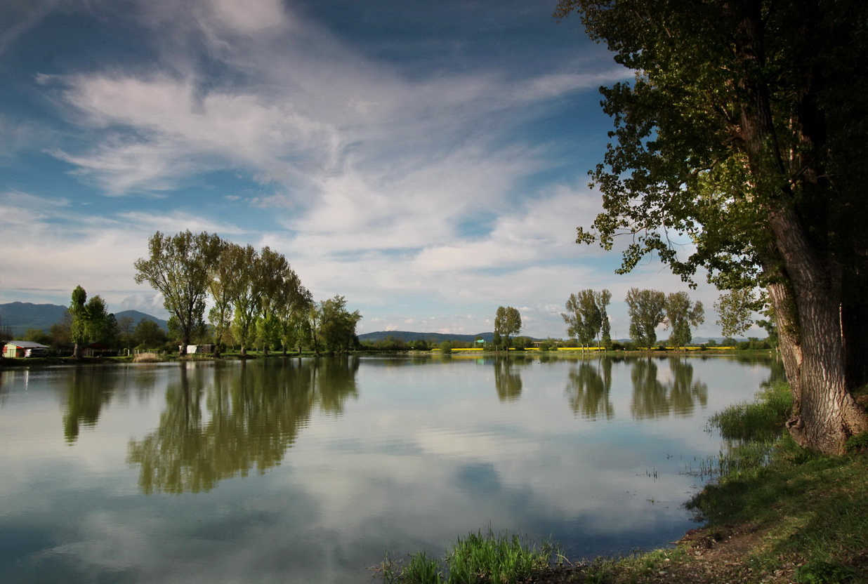 reflection on the lake