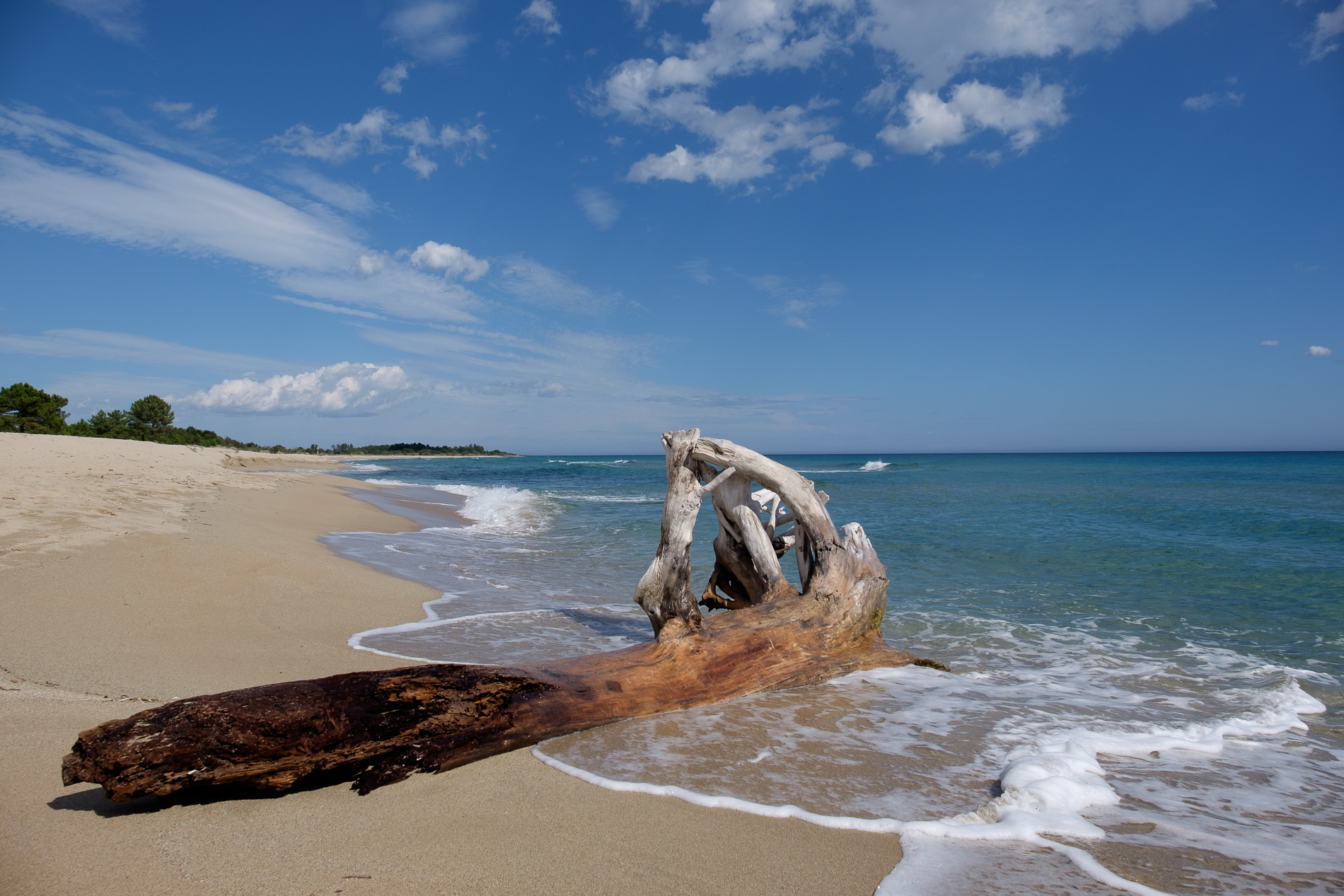Inizio d'Autunno in Corsica