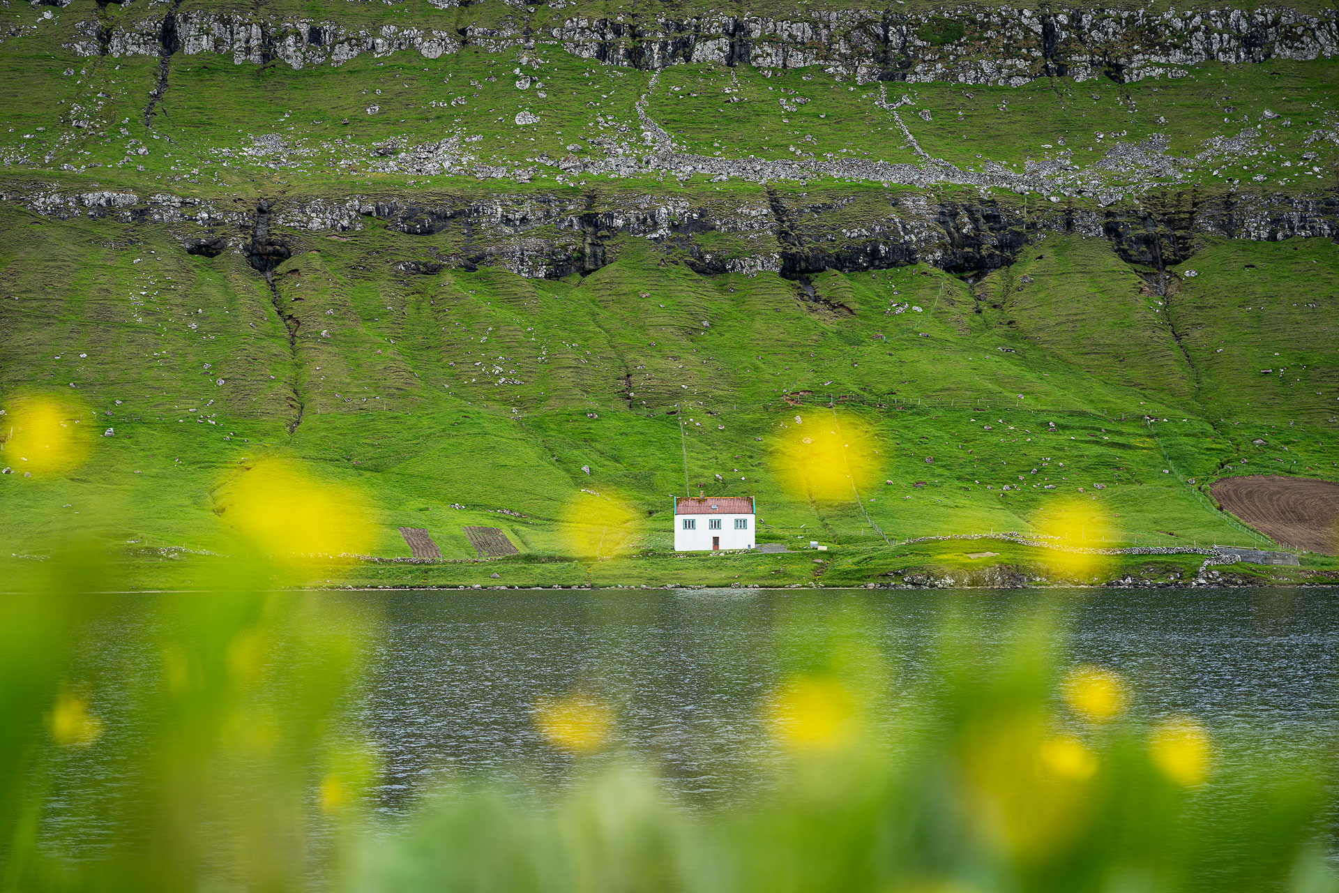 Faroe Islands. No neighbors, thank you.