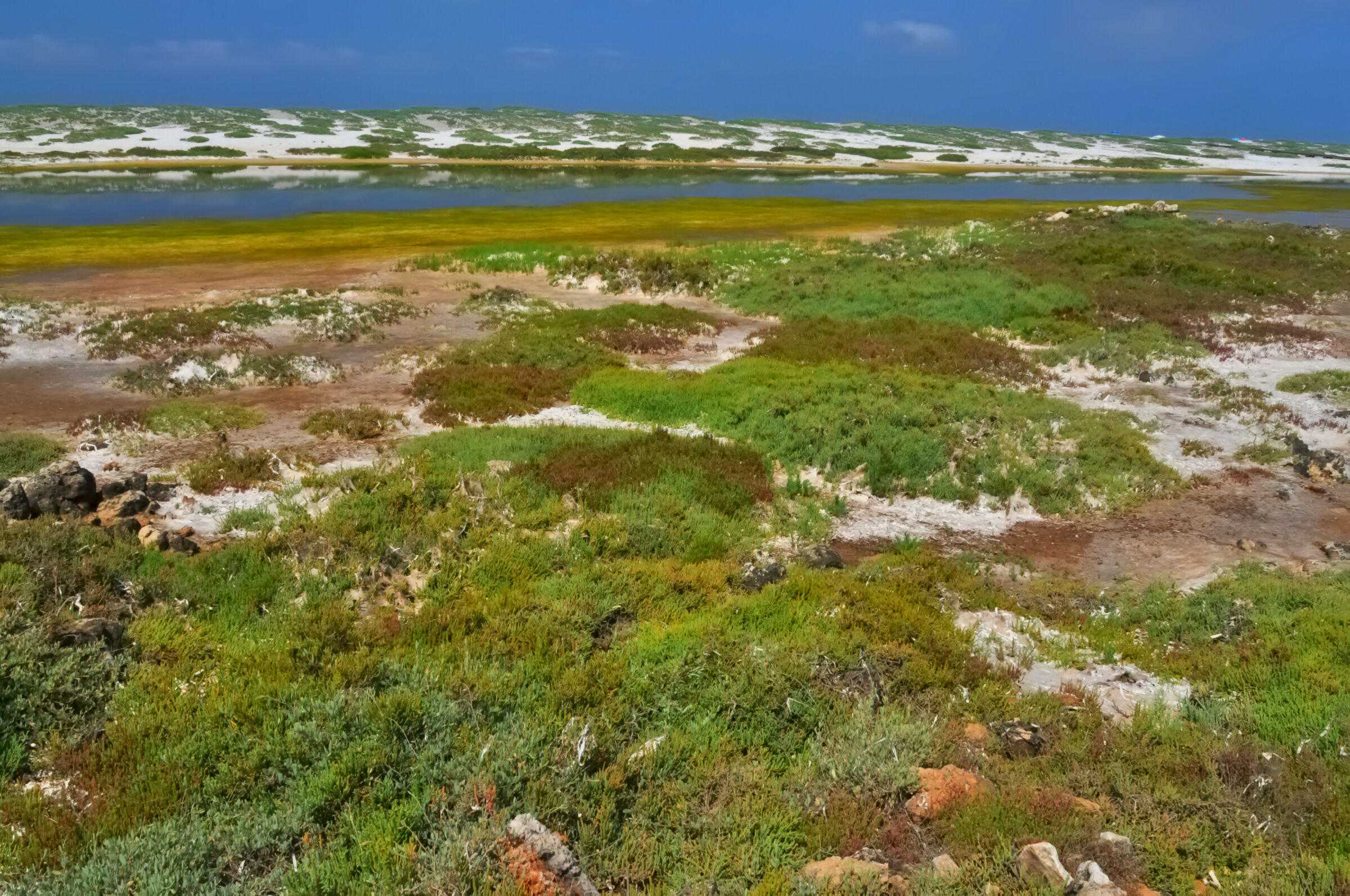 Glimpses of Sardinia