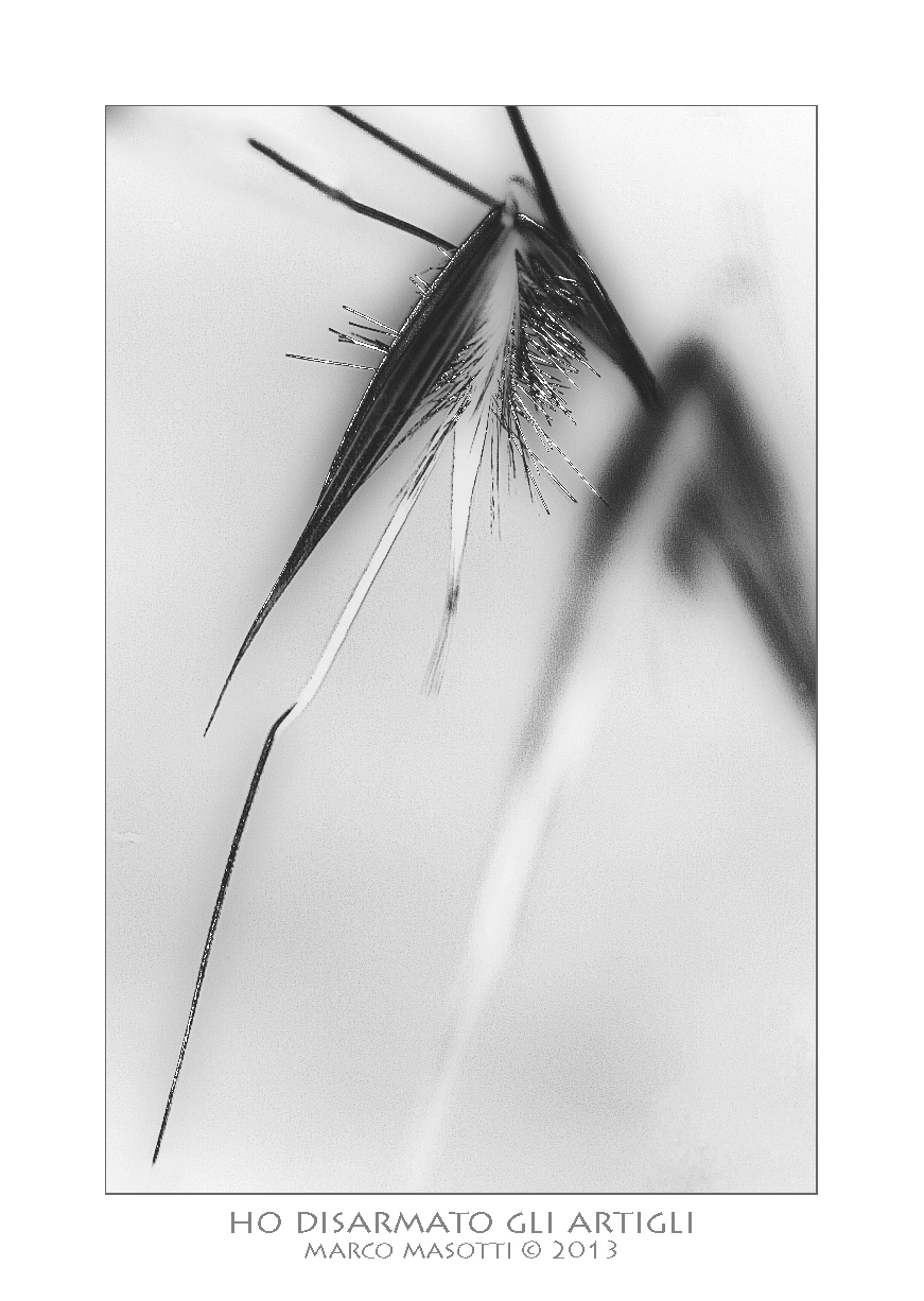 Ho disarmato gli artigli