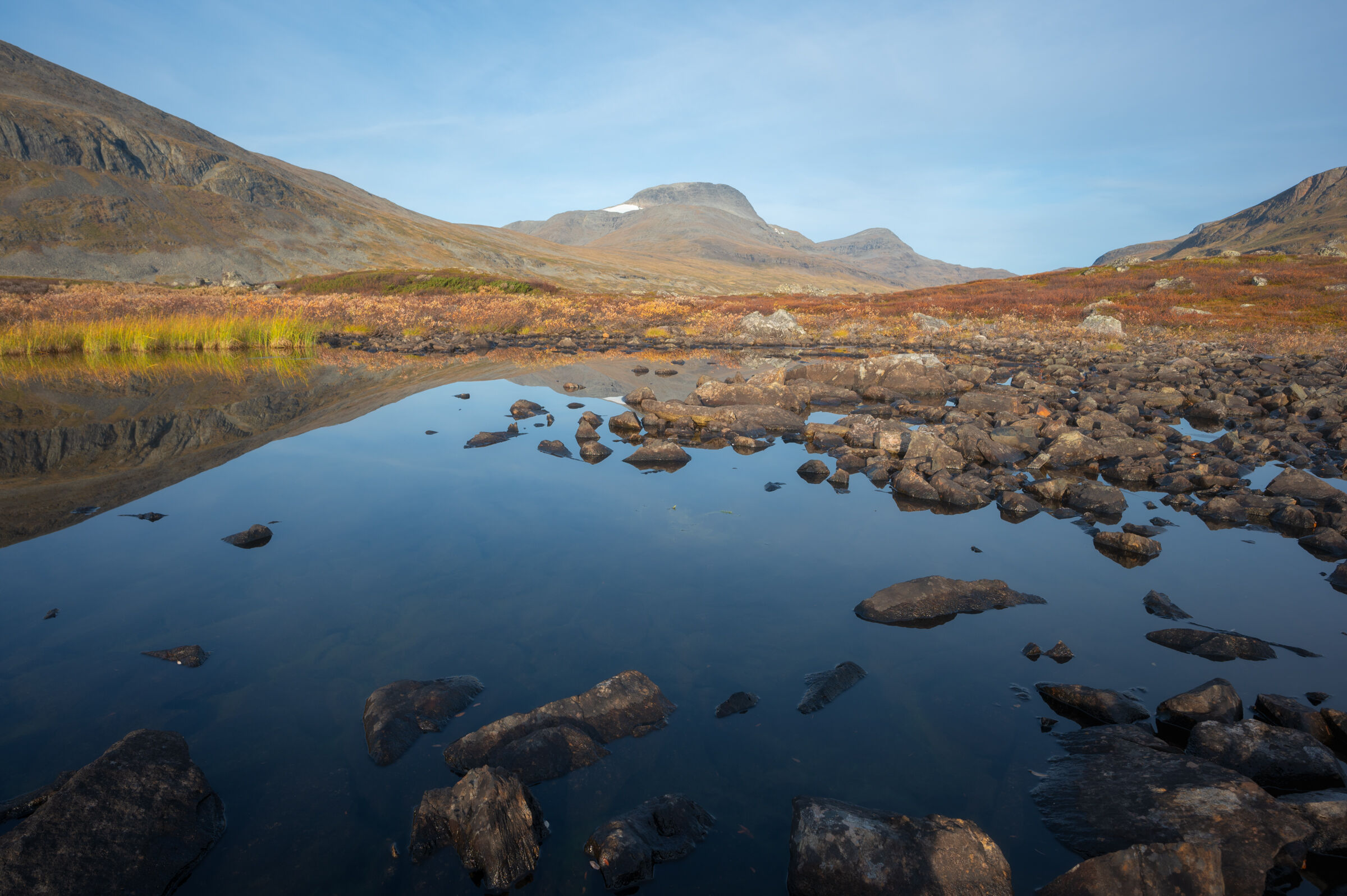 Morning