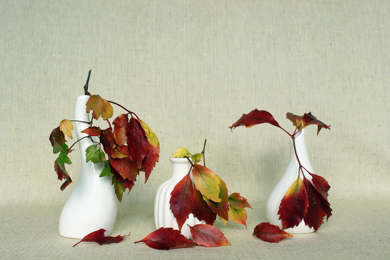 L'autunno in vaso