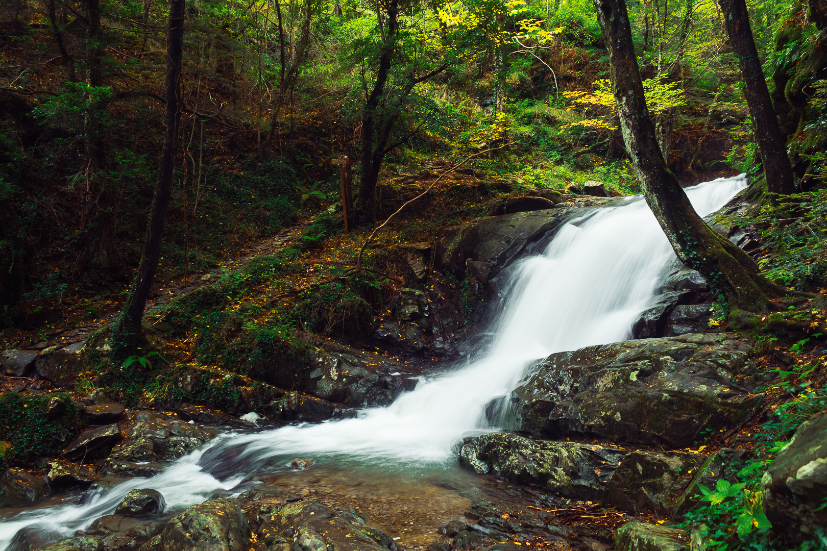 Little corners of paradise, Earthly