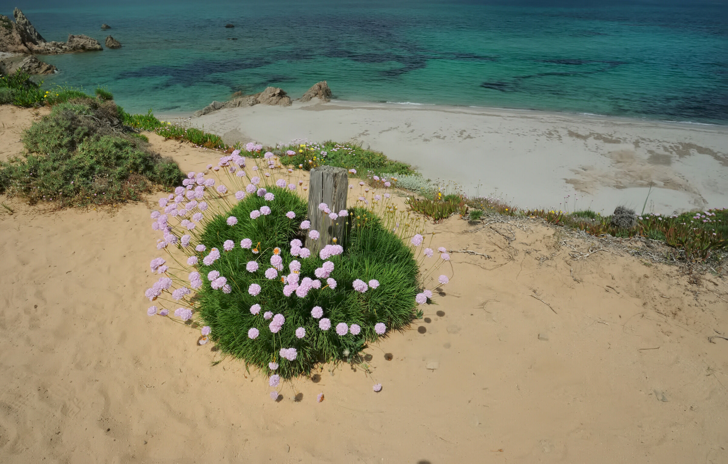 Le spiagge della Sardegna fuori stagione ...