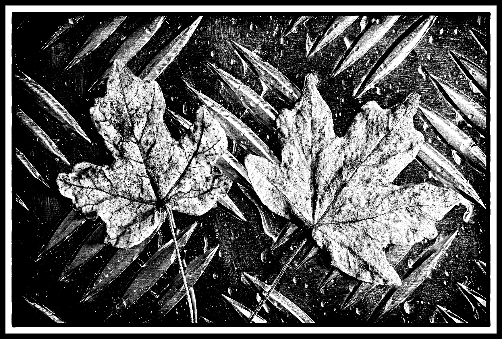 bianco e nero