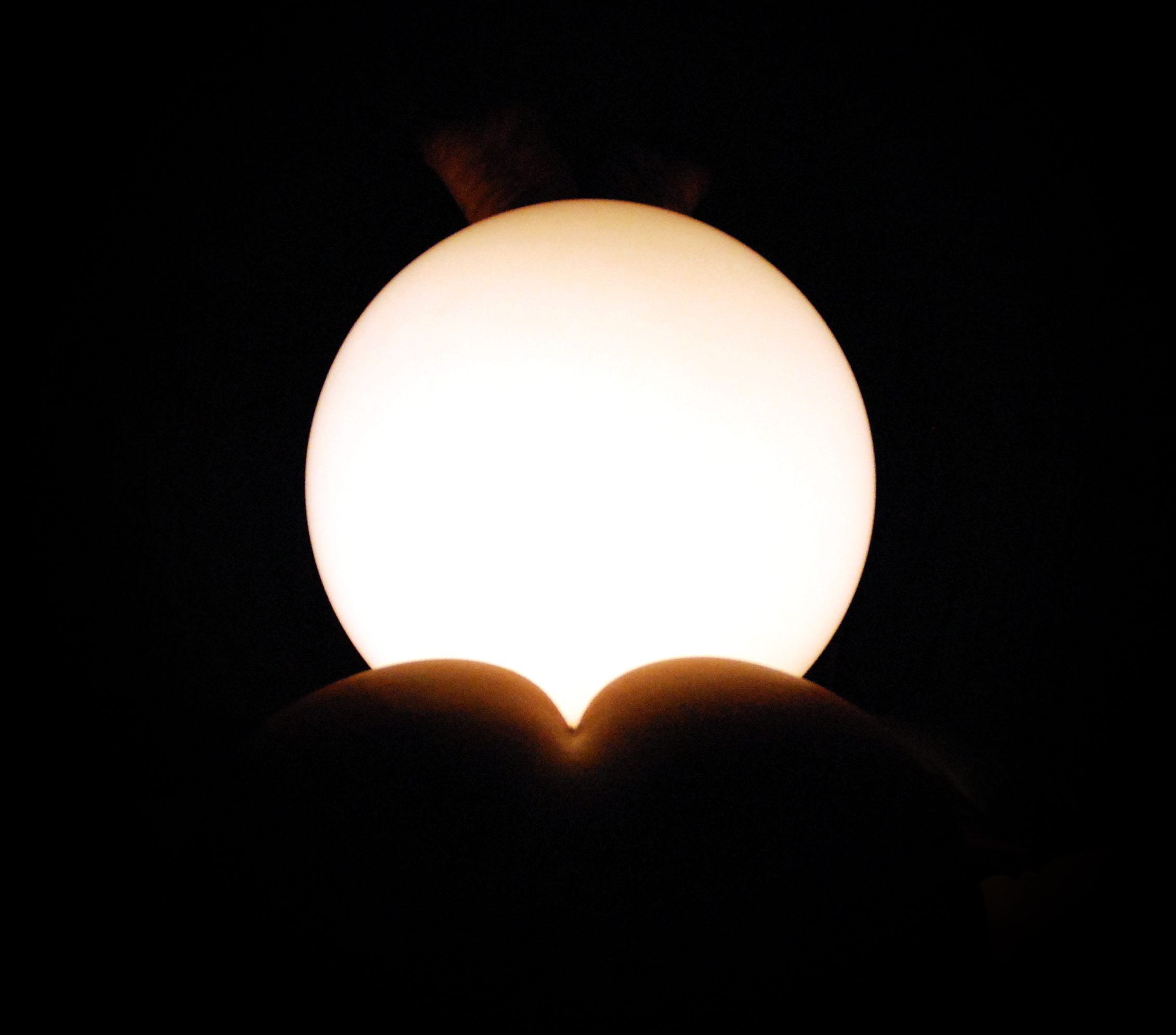 Astronomical culture