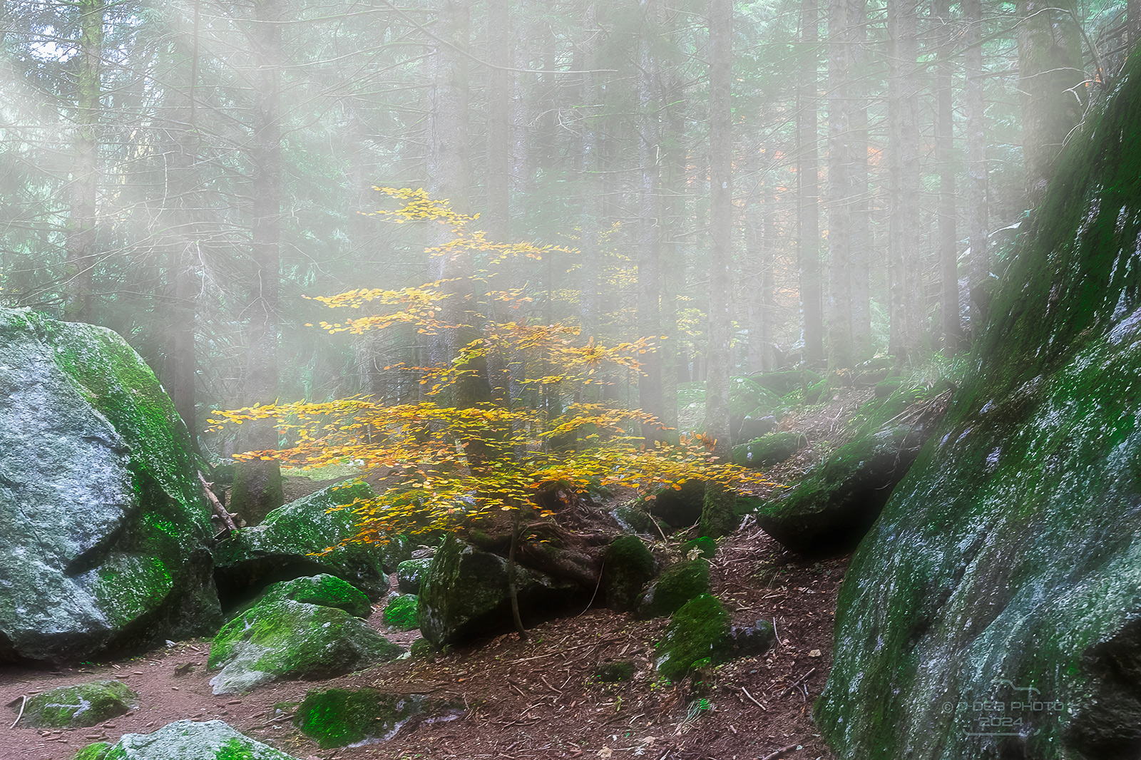 Early autumn