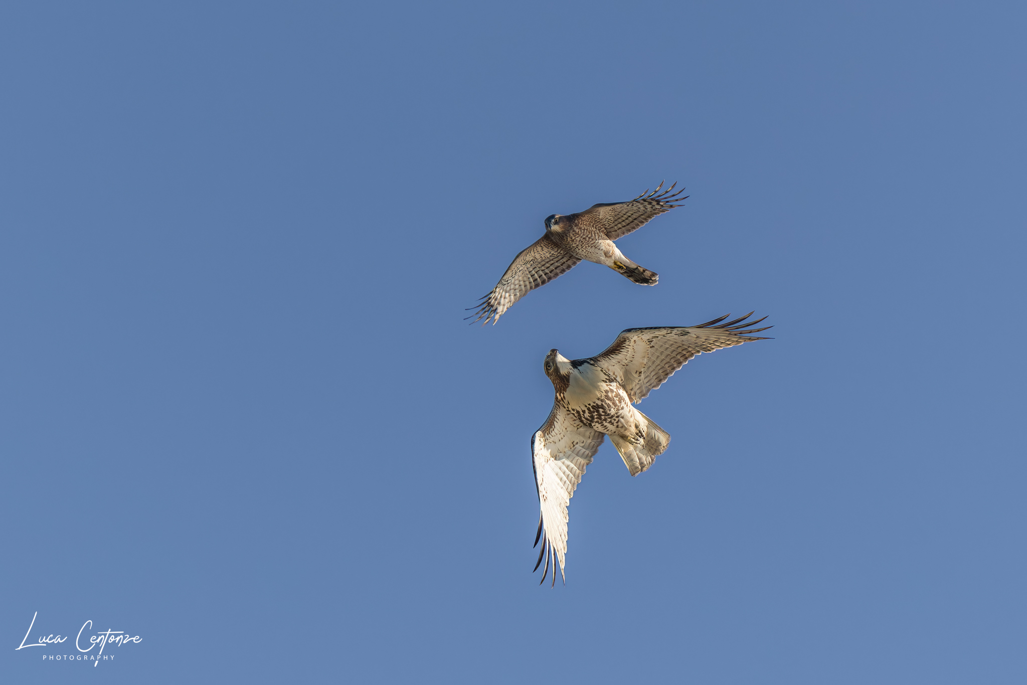 Incontro ravvicinato